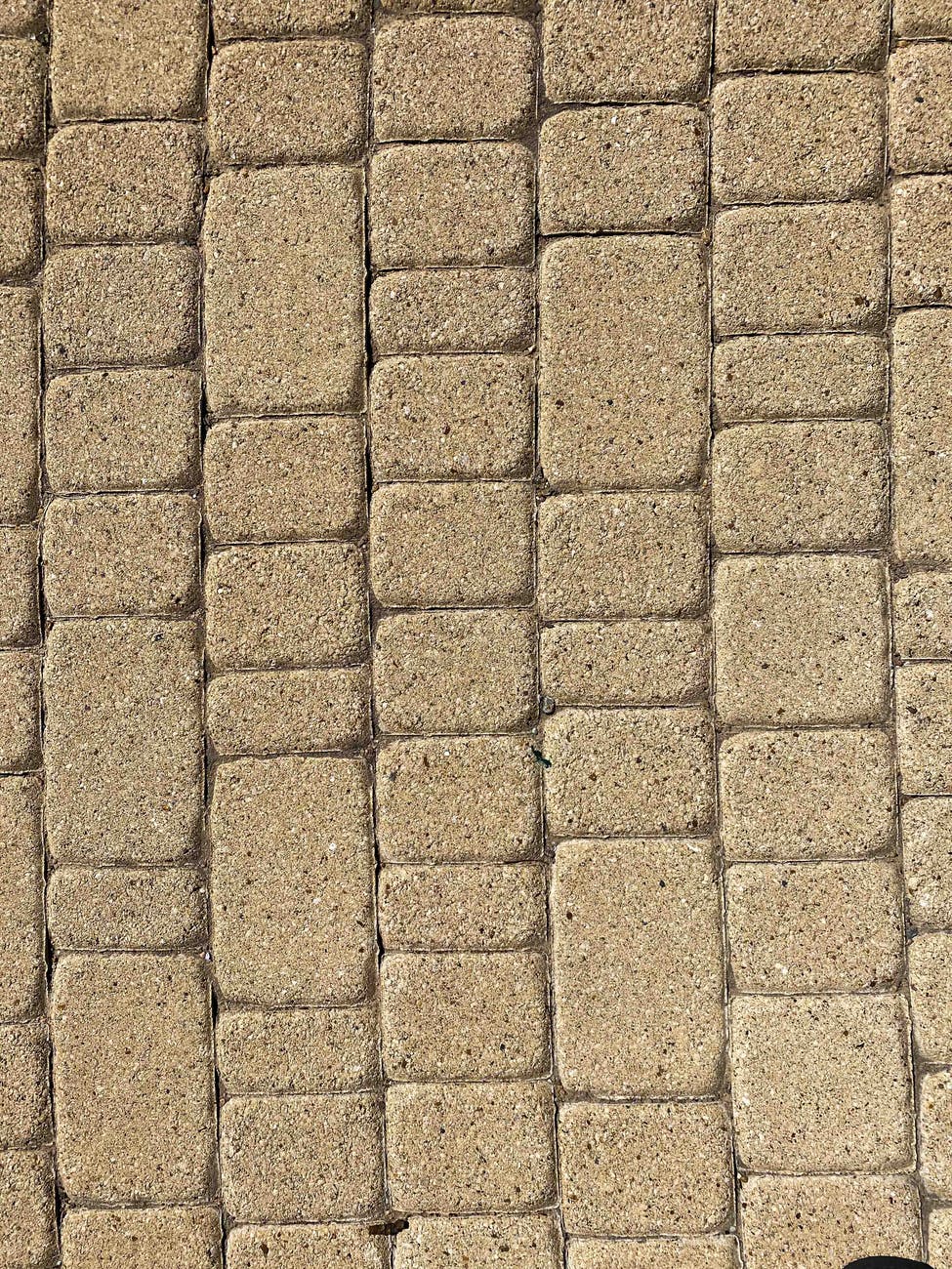 paving company in Austin